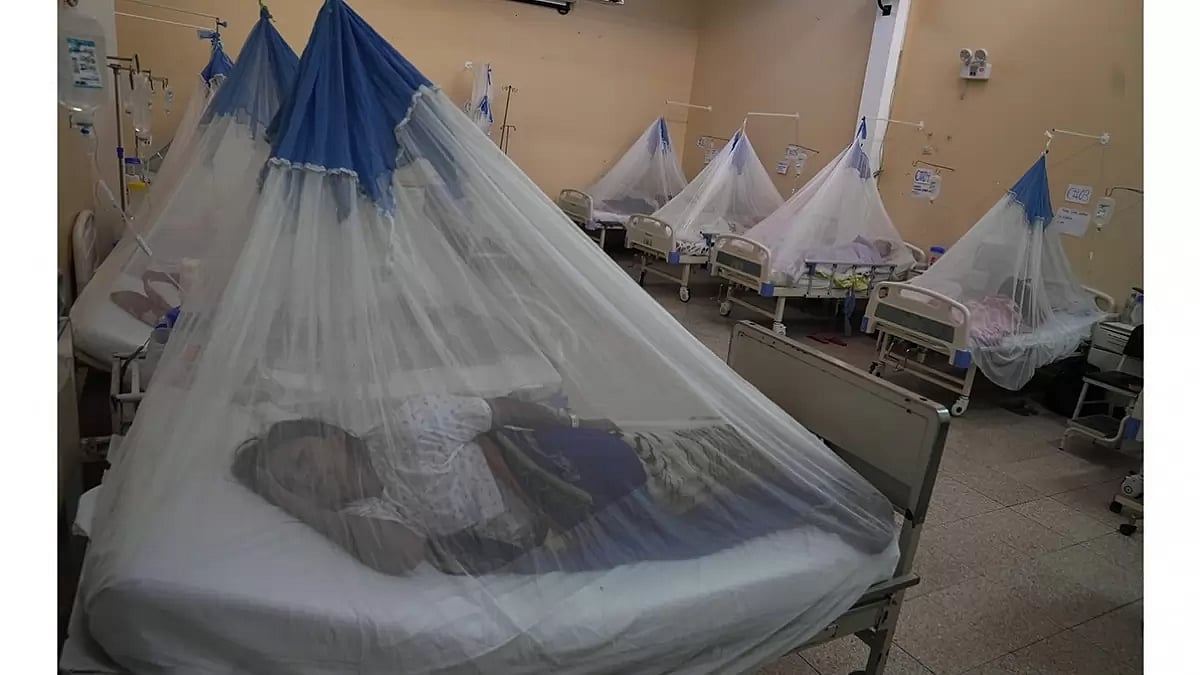 Peru Dengue Outbreak