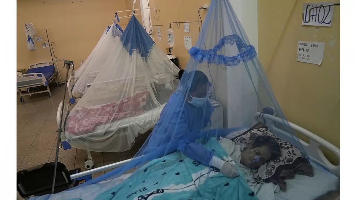 Peru Dengue Outbreak