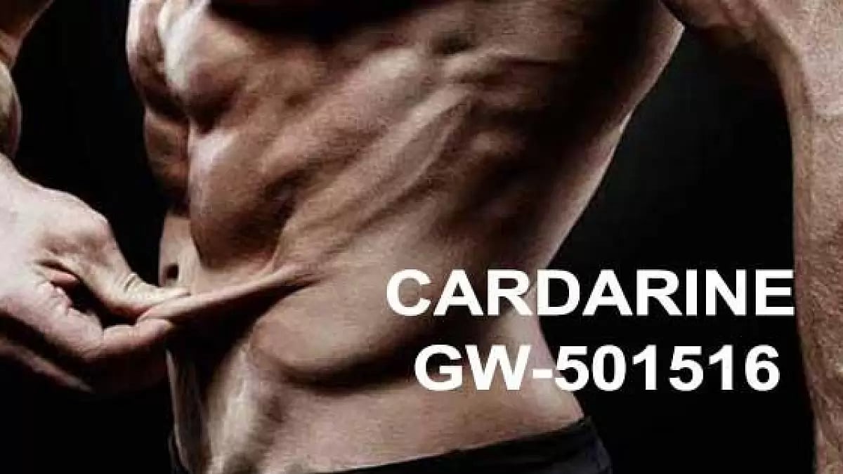 GW-501516 Cardarine SARM Results 