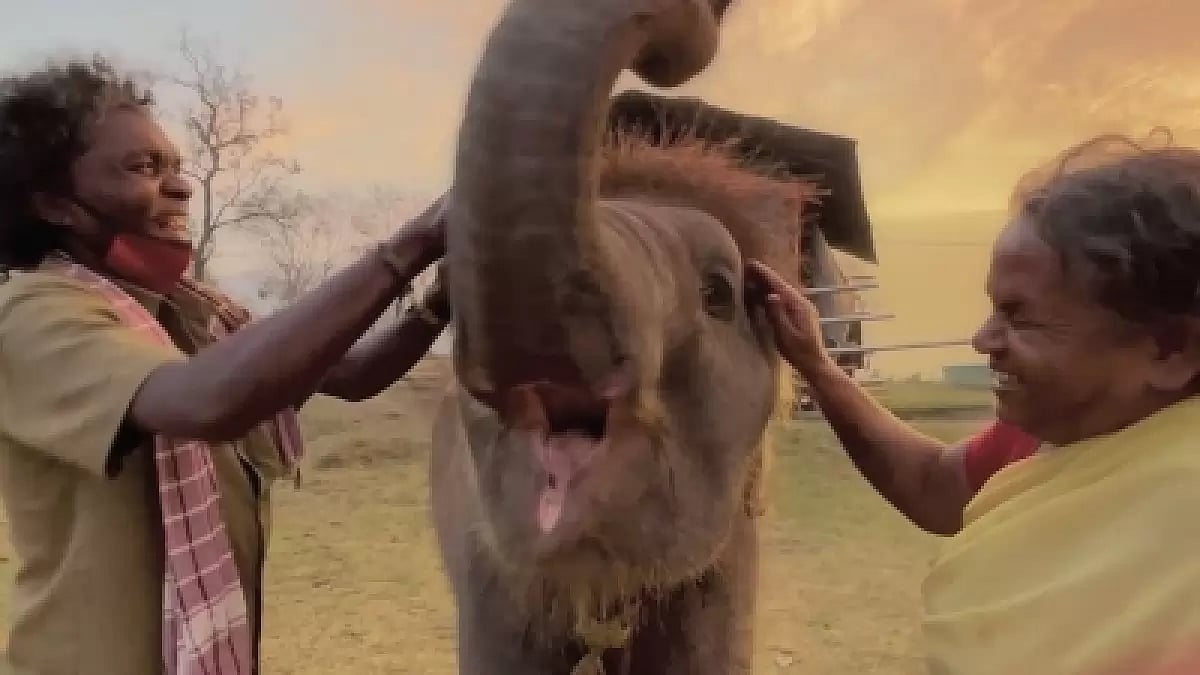 The Elephant Whisperers 