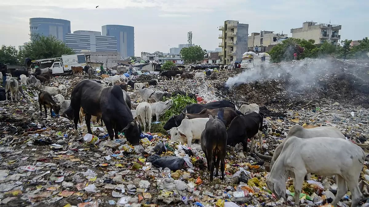 World Environment Day eve: Garbage dumping site