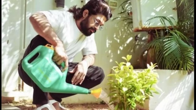Allu Arjun's Message On World Environment Day: 'Let's Do Our Small Bit'