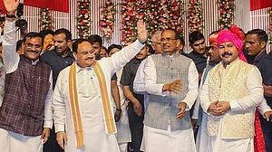 Narendra Singh Tomars daughters wedding