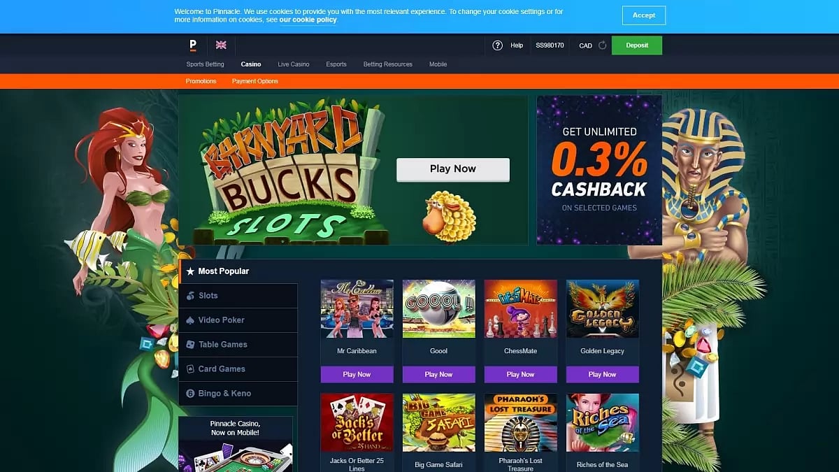 Best Online Casinos In South Africa