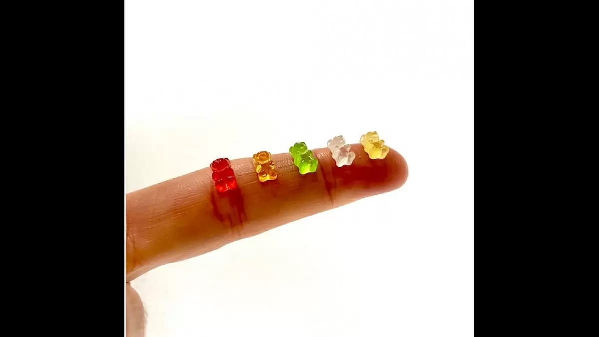 Bioscience CBD Gummies