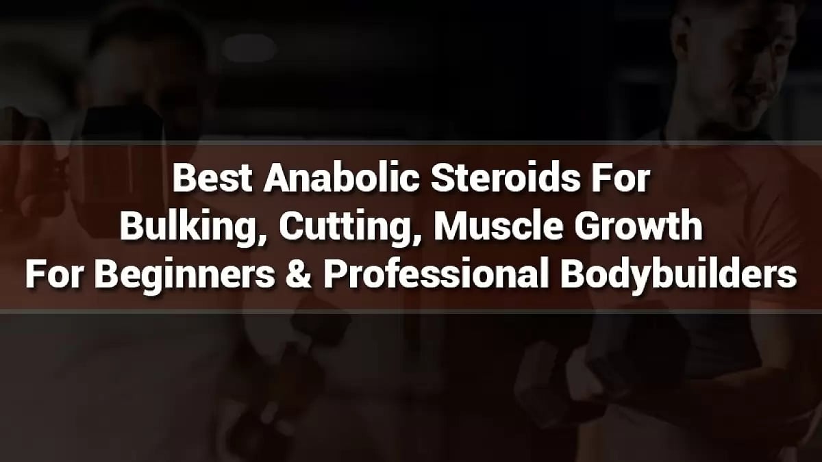 Best Anabolic Steroids 
