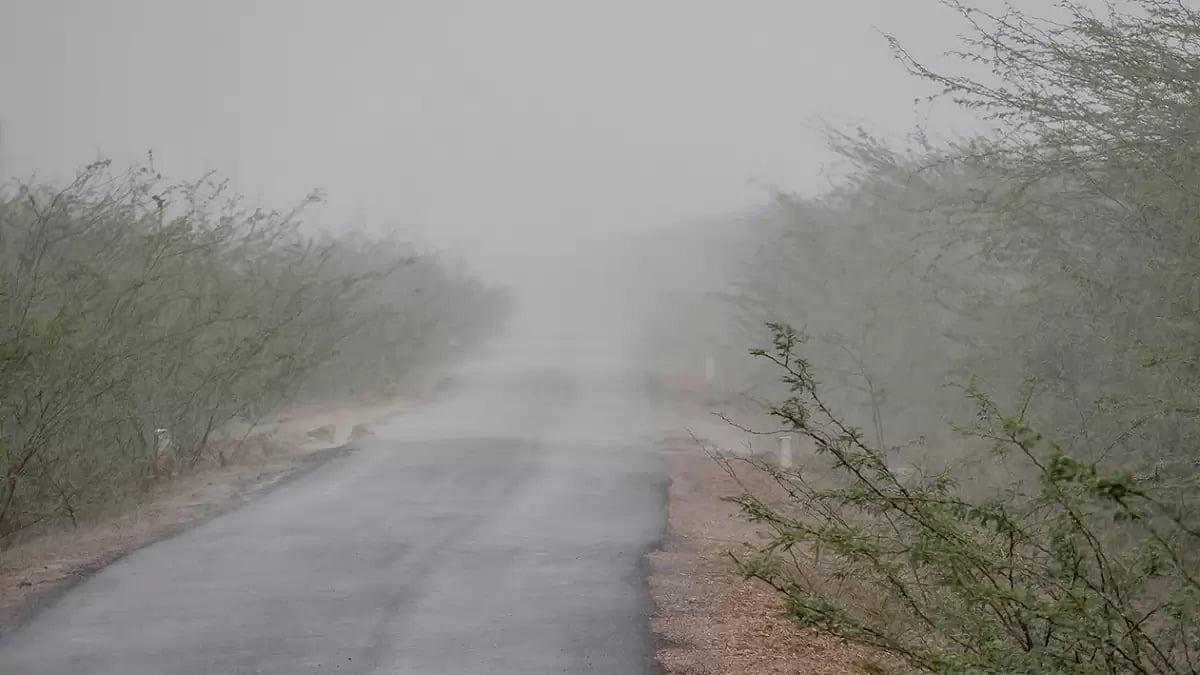 Cyclone Biparjoy: Rain in Kutch