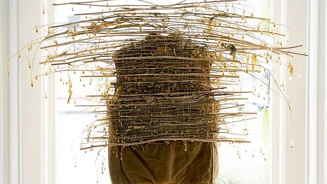 In Photos: Putting Invasive Wild Mustard To Good Use