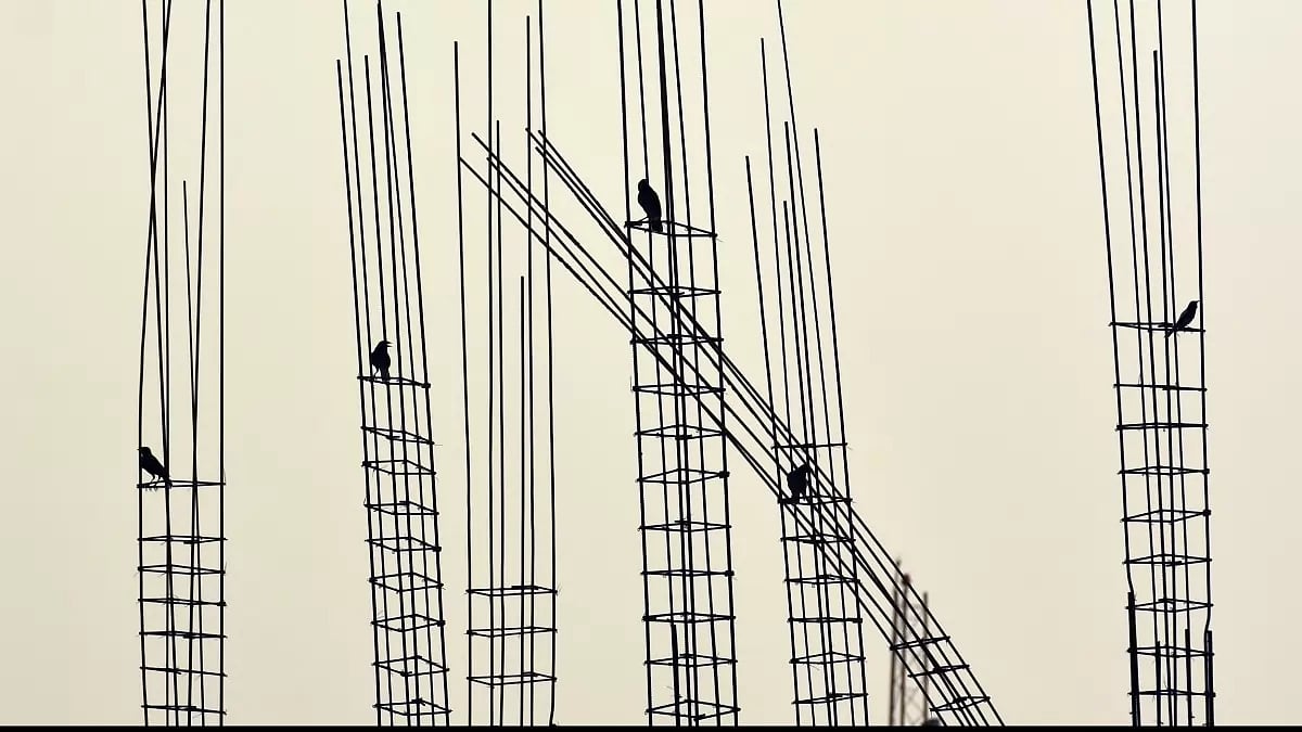 Anjana Basu reviews Meenakshi Reddy Madhavan’s book ‘Soft Animal’.