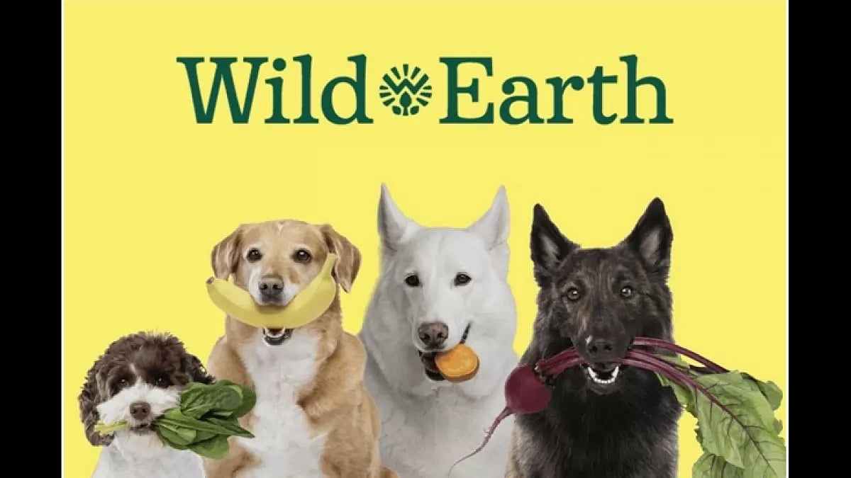 Wild Earth Dog Food Reviews (Shark Tank) Quality Canine Pet Food Brand