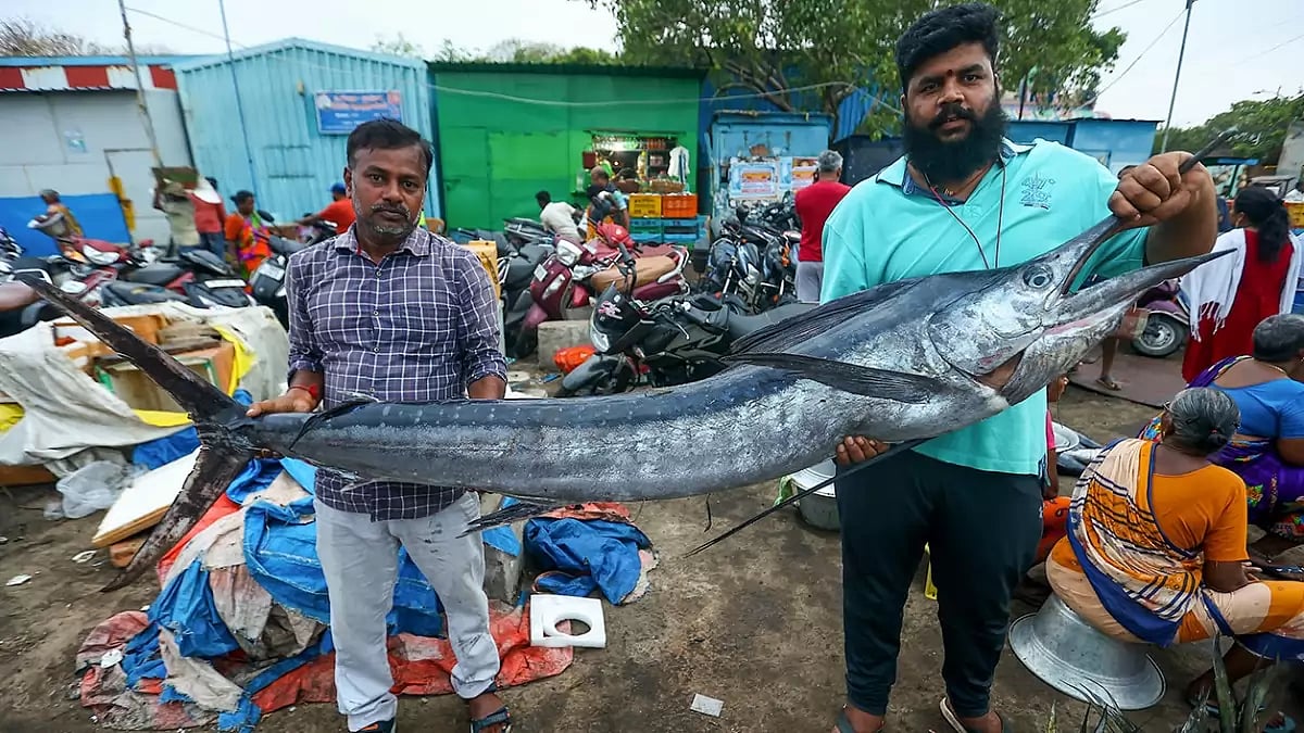 Odisha bans sea fishing (Representational Image)