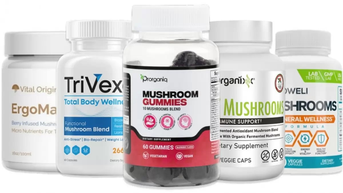 Best Mushroom Supplements