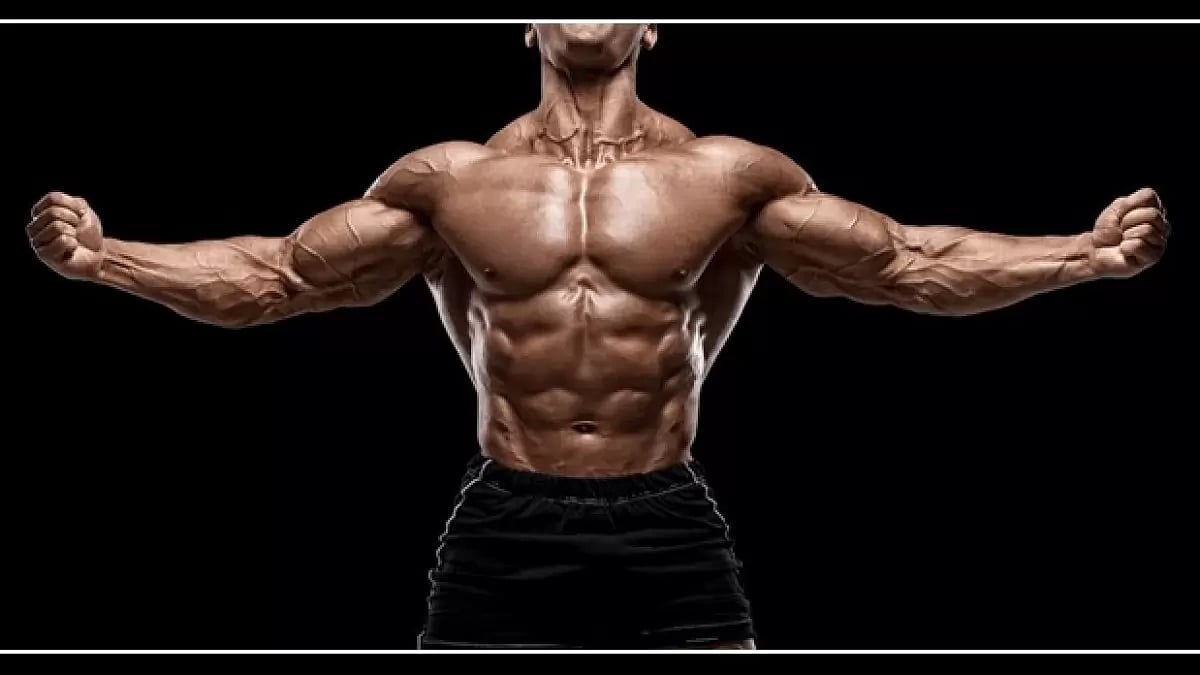 Deca Steroids Review