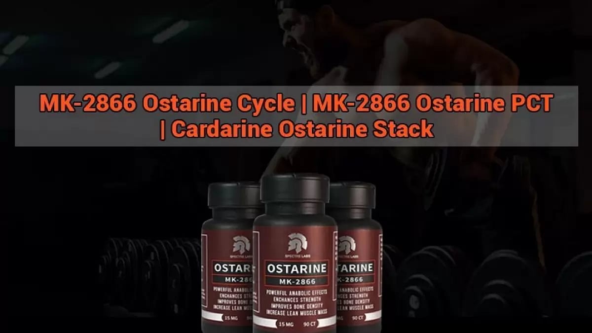 MK-2866 Ostarine Cycle 