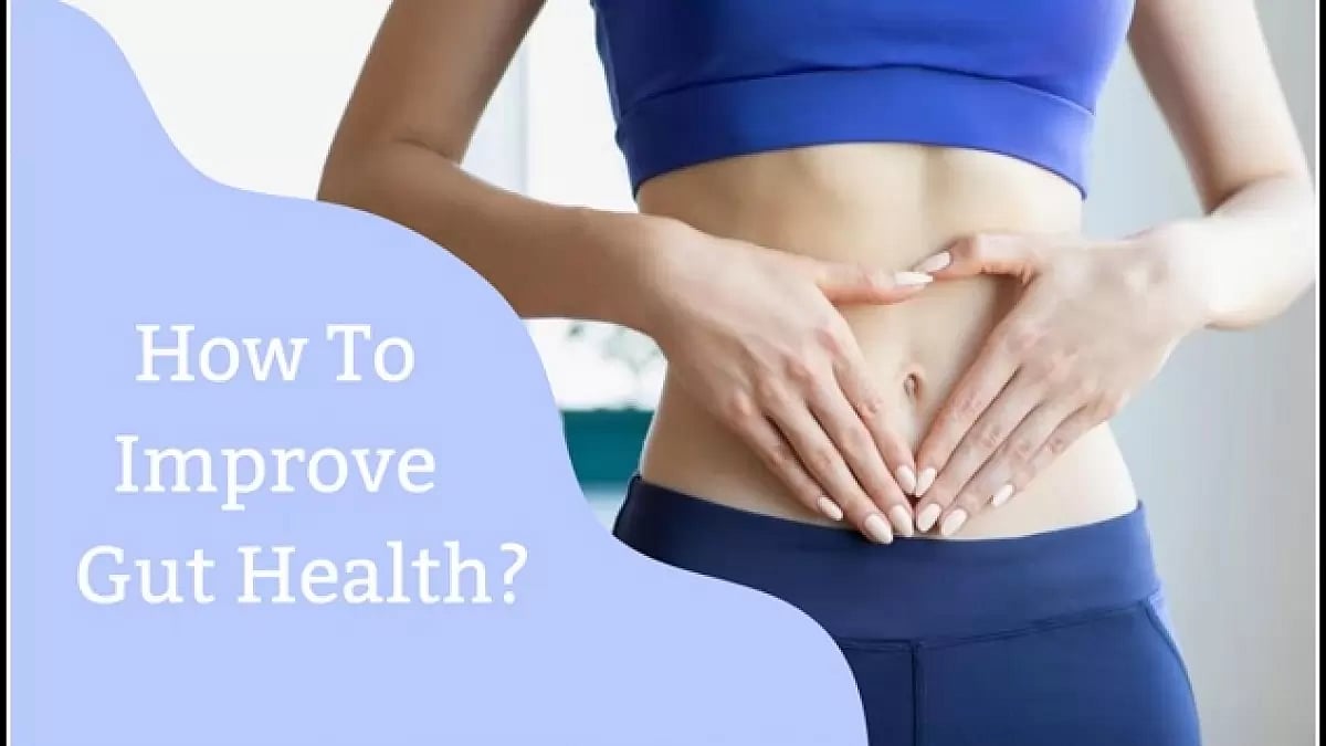 Best Gut Health Supplements 