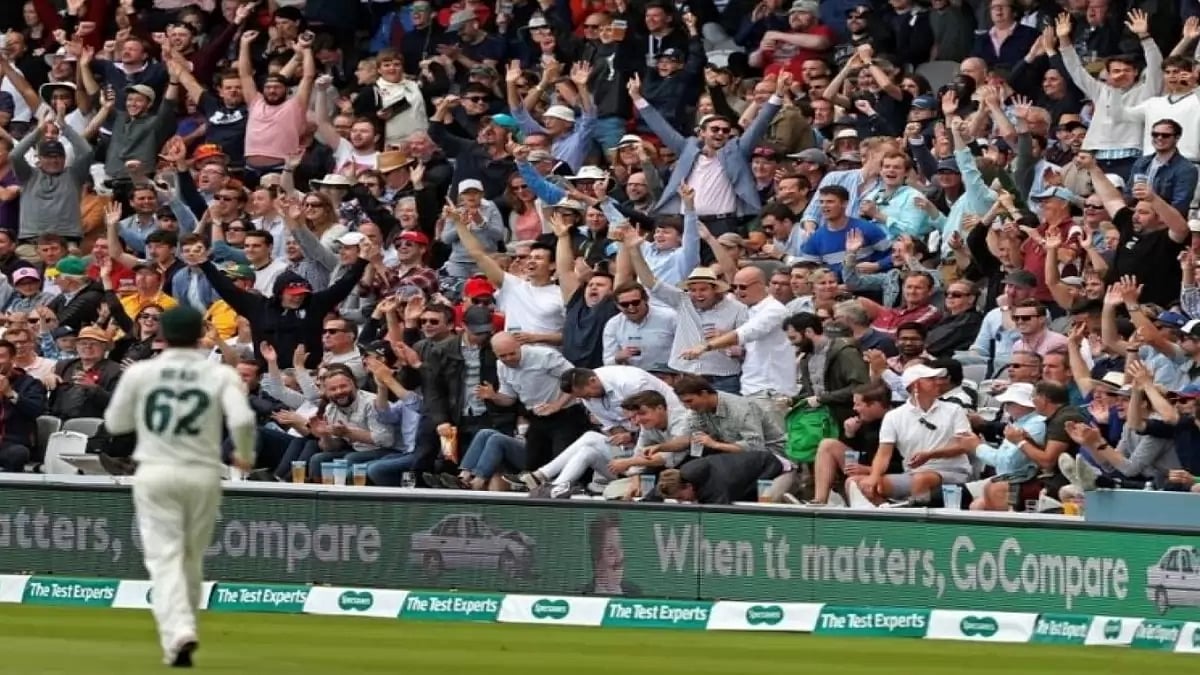 Cricket And Fan Culture