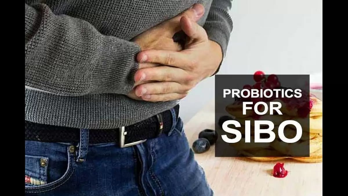 Best Probiotics For SIBO 2023 Top Probiotic Supplements For SIBO To
