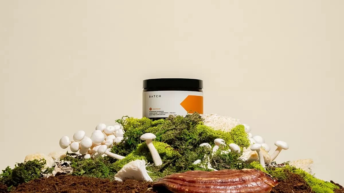 Lion's Mane Mushroom Supplements