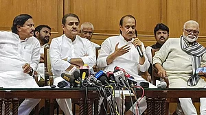 Huge Response To Ajit Pawar's Rallies Suggests People Supporting Him For Joining Maharashtra Govt: Sunil Tatkarembai