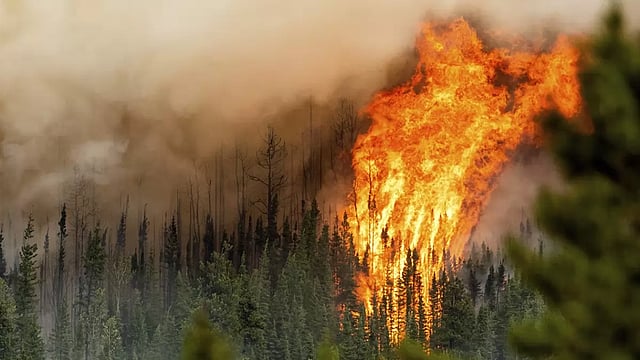 Growing Wildfire In Central Washington Prompts Evacuations And Threatens Homes And Farms