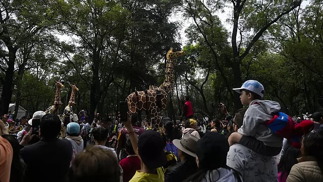 In Photos: Mexico's Chapultepec Zoo Celebrates 100 Years