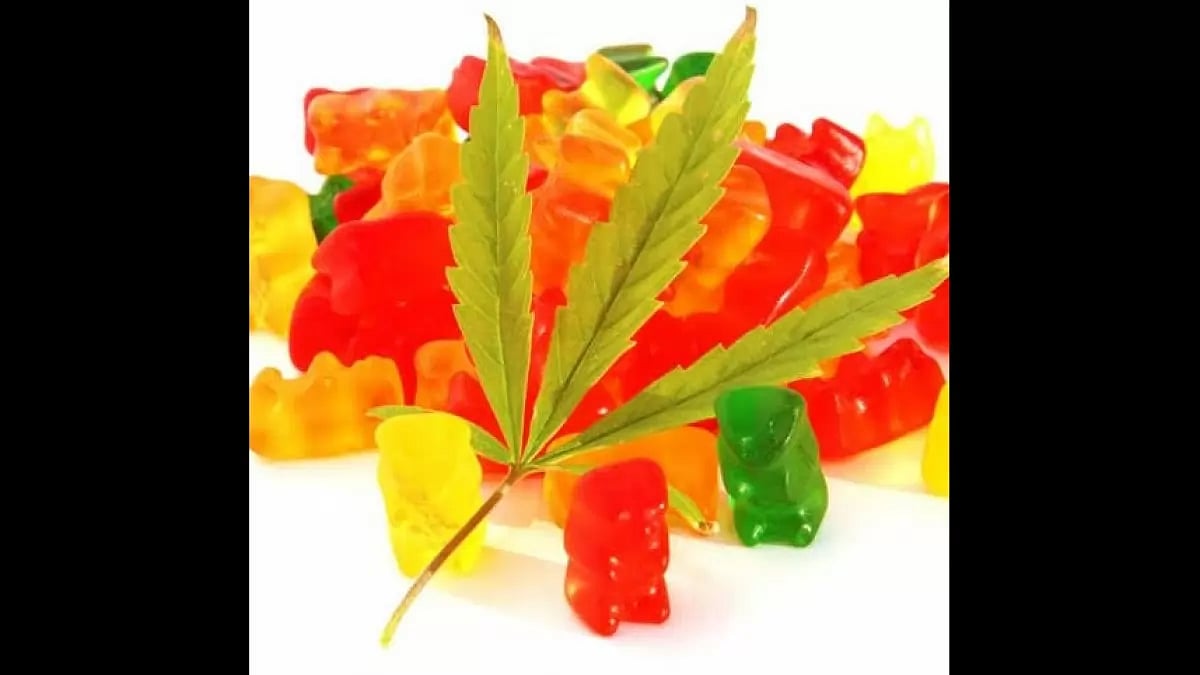 Gold Coast Keto Gummies