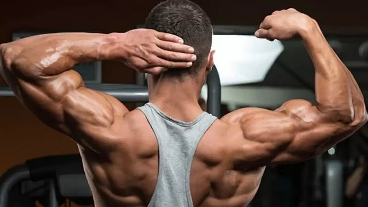 Best SARMs for Cutting 2023