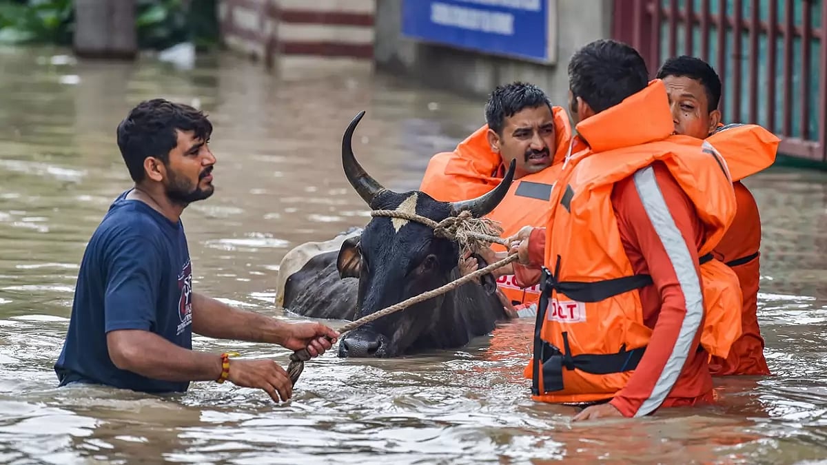 Flood affected locals shifted in Delhi