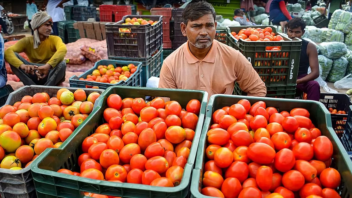 Tomato vendors in Gurugram