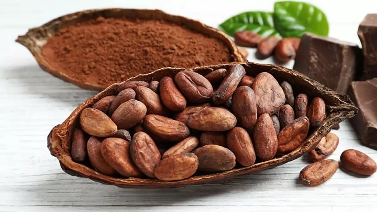 Amazing Health Benefits Of Cacao Powder
