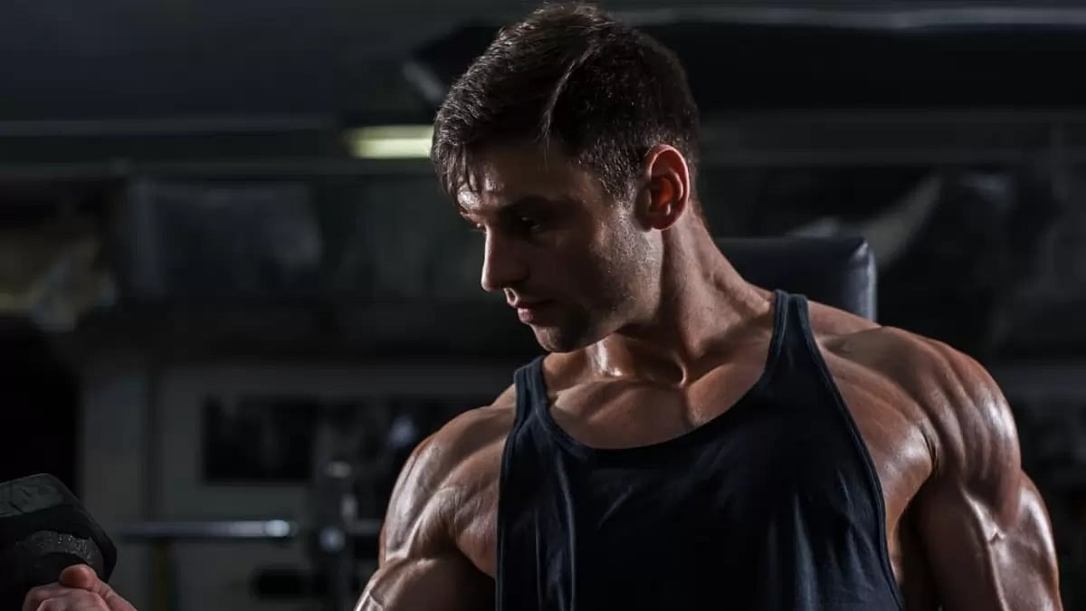 Testosterone Booster For Muscle Gain 