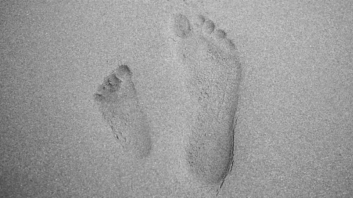 Chakku: Destiny’s Chosen Child