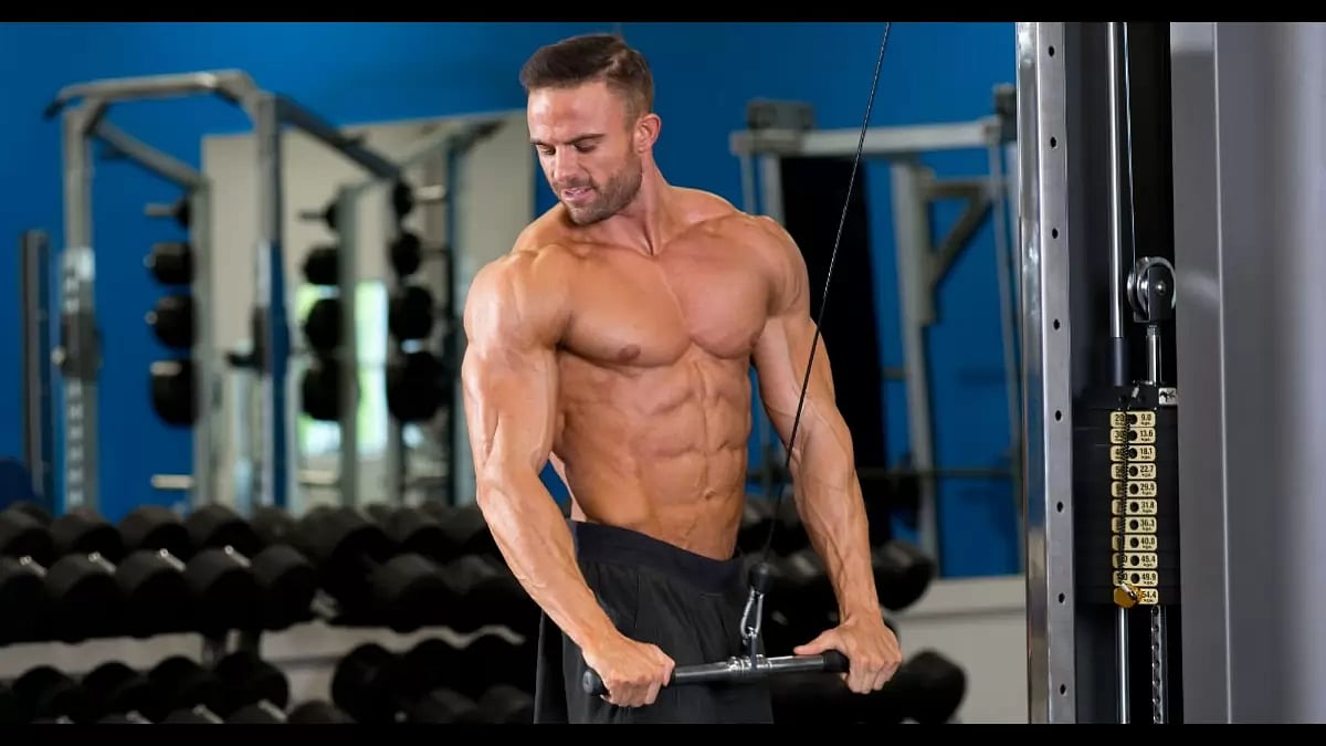 Steroids for Cutting