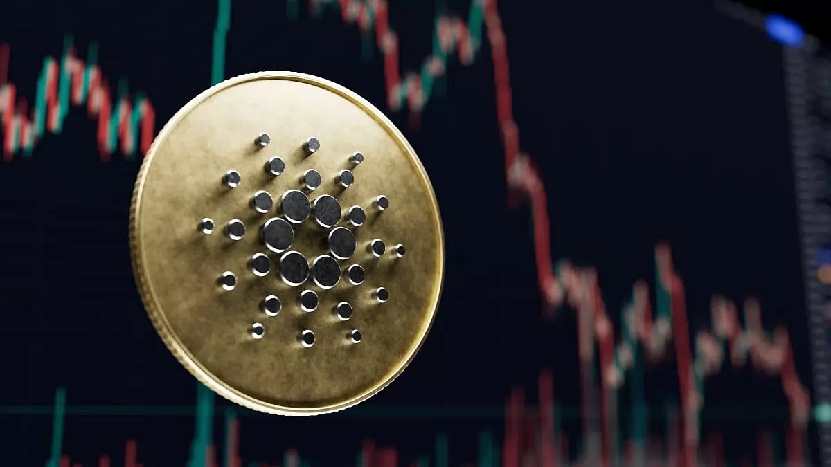 Ripple And Digi Toads