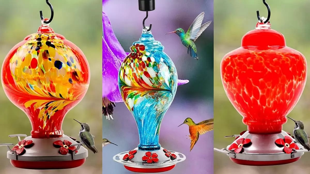 5 Best Glass Hummingbird Feeders of 2023 A Comprehensive Guide to