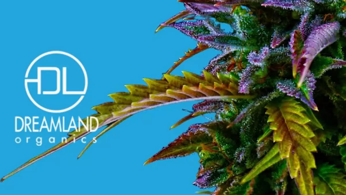 Dreamland Organics Review