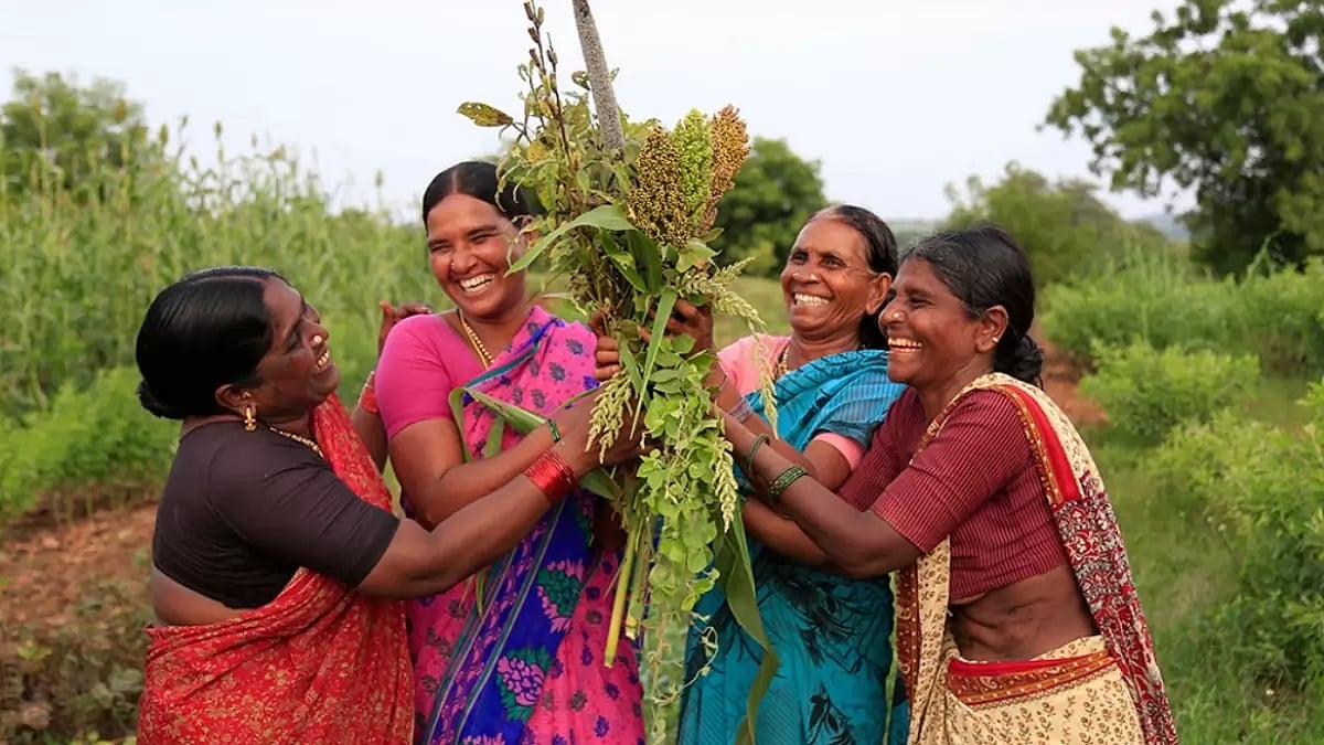 Indias Millet Metrics