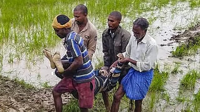 Crop Losses Reported In Parts Of Goa Due To Extreme Rainfall, Says Minister
