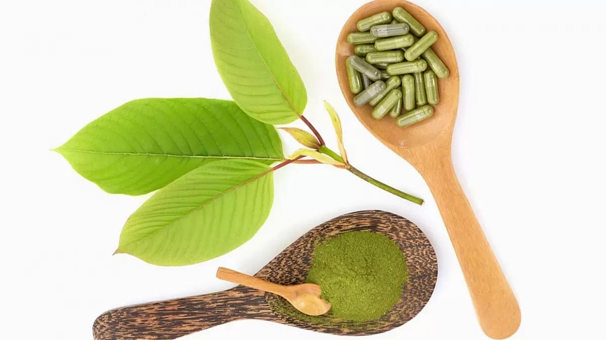 Kratom Dosage Guide