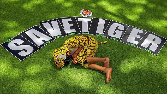 Children In Bengaluru Dress As Tigers, Kickstarting Nationwide Campaign For International Tiger Day