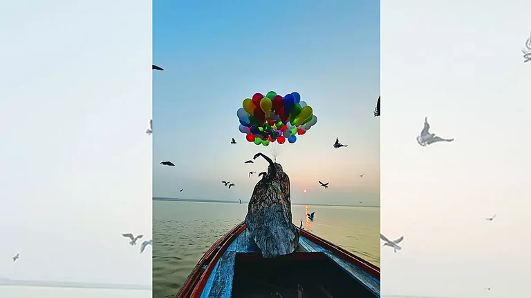 Free-Flowing: Artwork titled ‘Beyond The Body And Gender’ by Debashish Paul - null