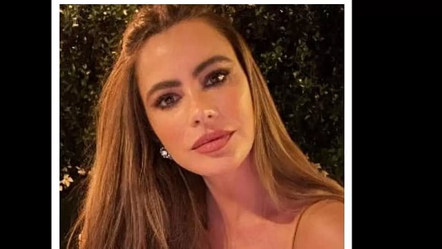 Sofia Vergara Seen With Mystery Man 3 Months After Split From Joe Manganiello