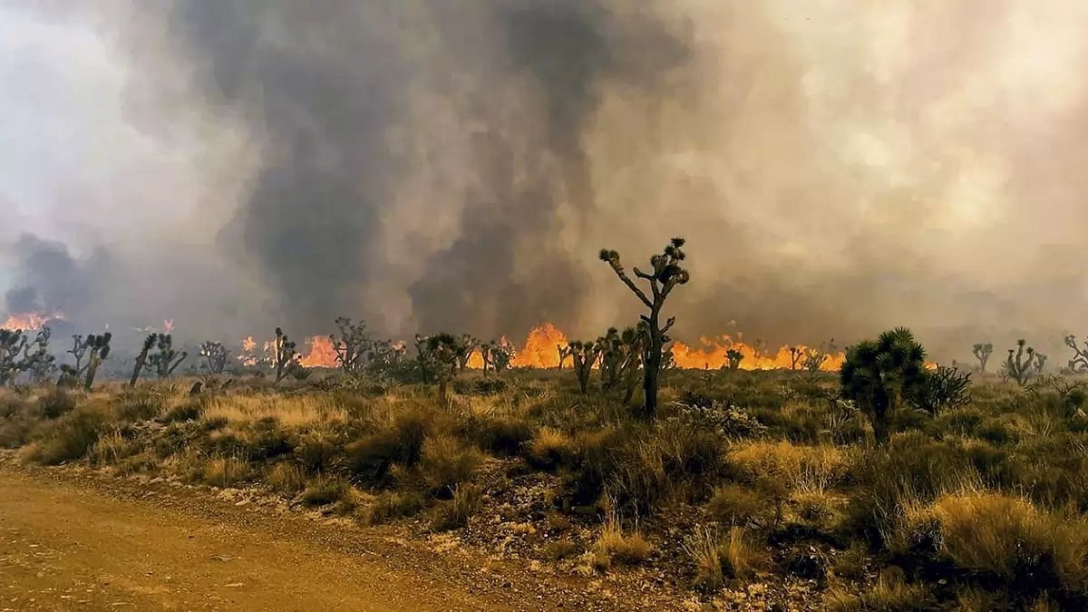 California Wildfires