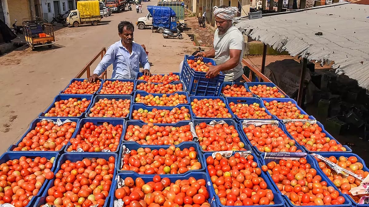 Tomato price hike in Karnataka