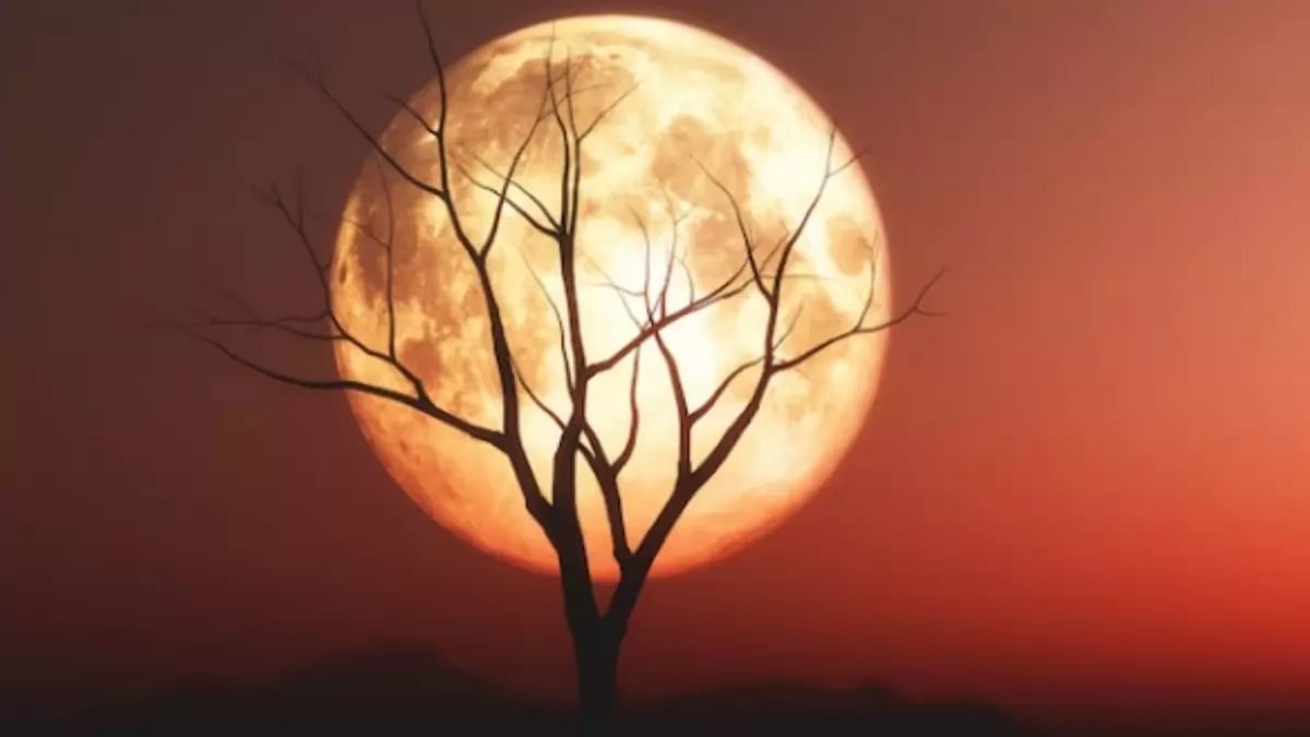 Two rare super Moons and a Blue moon to grace night Sky in August