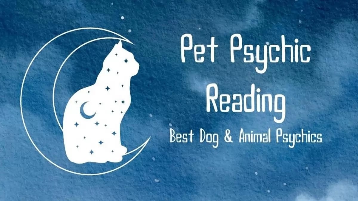 Pet Psychic Reading