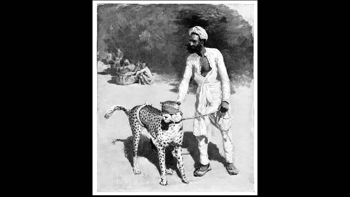 Animal handler and cheetah on the street in Jaipur. (Representative image)