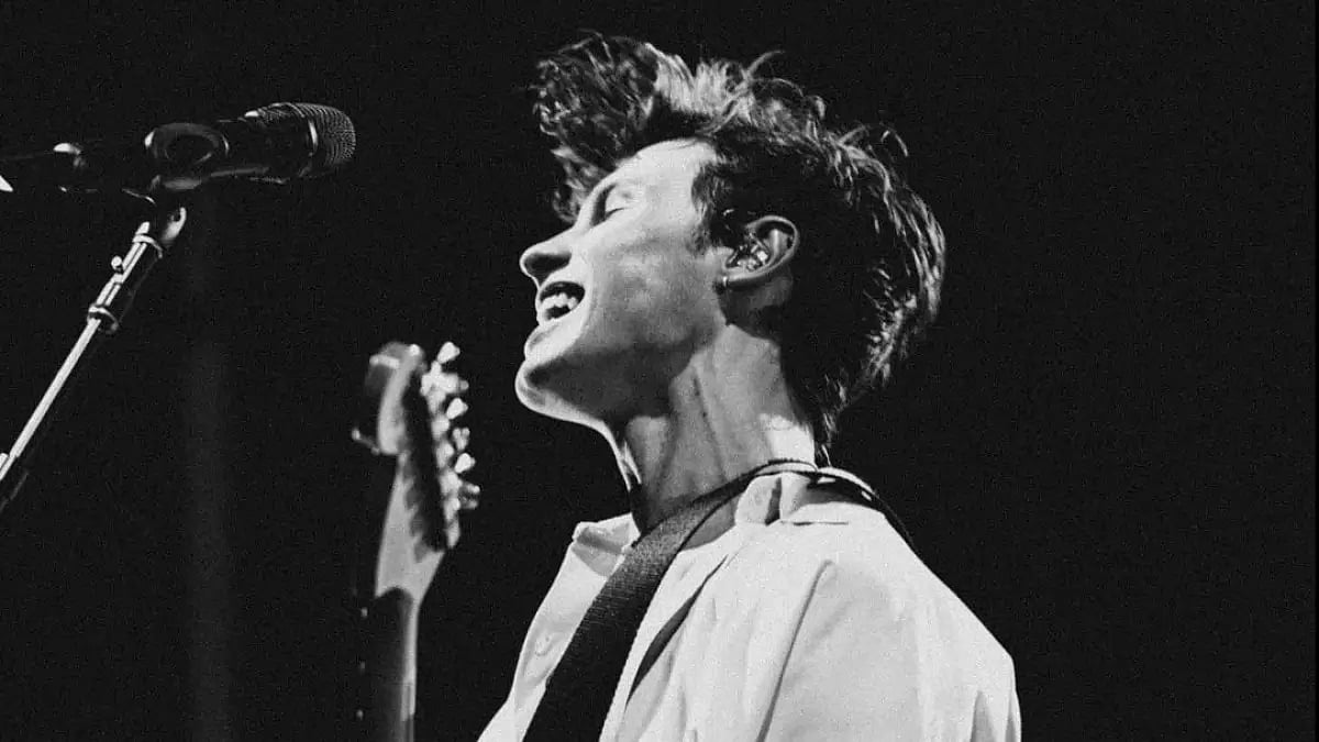  Shawn Mendes singing his heart out at a concert