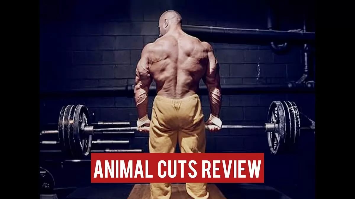 Animal Cuts Review 