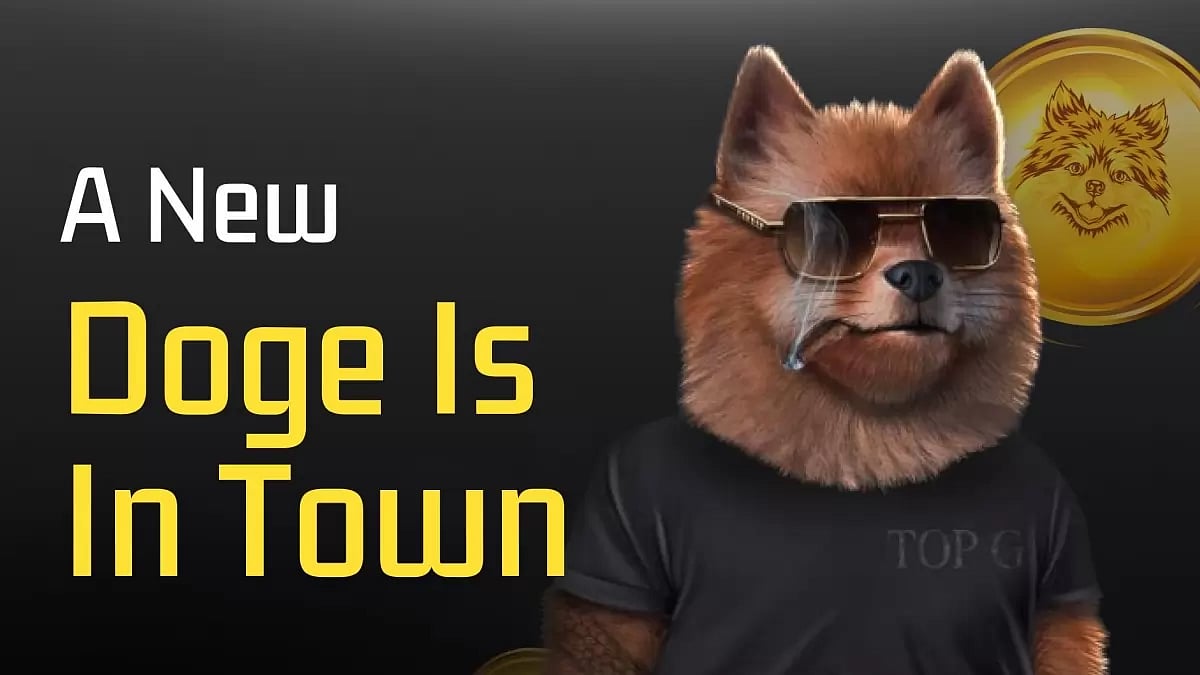 A New Doge Is In Town